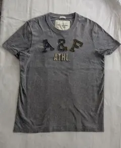 Abercrombie & Fitch 刺繍とアップリケ メンズTシャツ S