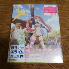転生したらスライムだった件(3)〈特装限定版〉