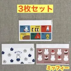 【各1枚 計3枚】ミッフィー ＜ブラウン／マルチ／ブルー＞ マイナカードケース