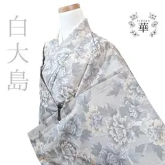 670 華 着物 袷 白大島 紬 花 洋風白 オレンジ 水色