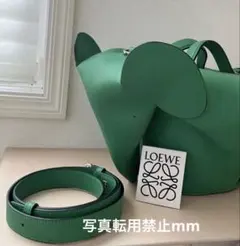 2026年最新】loewe ロエベ エレファントの人気アイテム - メルカリ