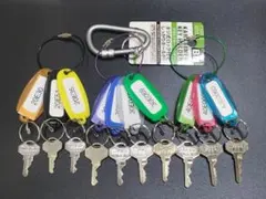 Item thumbnail for item d1750349-dcab-422e-851a-6ec5406ab84b