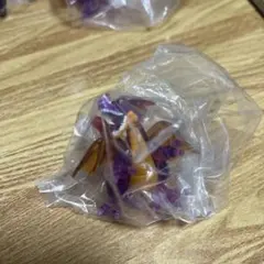 ドラゴンクエスト クリスタル モンスターズ カプセルバージョン ロトの伝説編