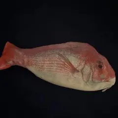 魚型ペンケース
