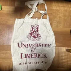 Item thumbnail for item 4a245a73-88dd-4968-b0f1-3c26b5384a26