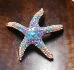 新品アンティーク調きらきらストーンヒトデ海星ブローチ 　ヴィンテージ風　ゴシック