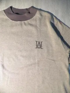 50-60s チャンピオン ランタグ 珍ピオン