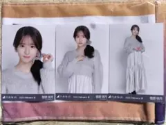 乃木坂46 生写真　ファーニット+キャミワンピ　菅原咲月コンプ