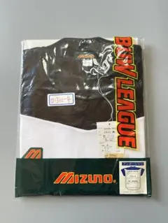 Item thumbnail for item 92c97dd0-41da-4496-a0fa-fa773201b3a4