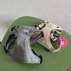 Item thumbnail for item 8e33f9f8-db40-4edf-8928-da2963e29ac5