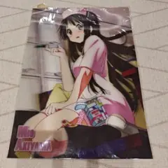 けいおん！ 3Dポスター 秋山澪