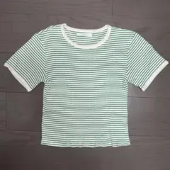 ストライプ 半袖Tシャツ サイズFのサムネイル
