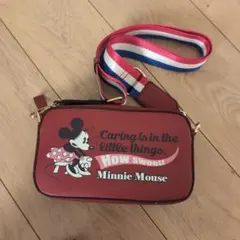 ミニーマウス コンパクトバッグ