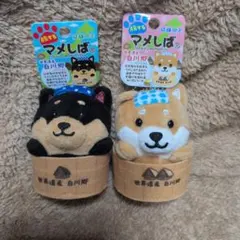 プルコ様 リクエスト 2点 まとめ商品