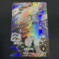 孫悟空 GDR APT-006 (2)