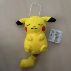 2026年最新】くつろぎ ピカチュウの人気アイテム - メルカリ