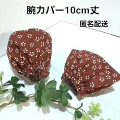 Item thumbnail for item 37e26f0a-dccf-4c34-8c92-7c7caaa844ae