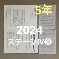 2024年 日能研 5年 ステージⅣ 学習力育成テスト(後期)❸