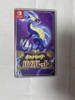 ポケットモンスター　バイオレット　Switch