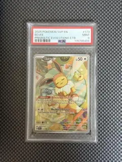 2025年最新】イーブイ プロモ 英語の人気アイテム - メルカリ