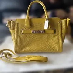 2025年最新】パイソン バッグ レディースの人気アイテム - メルカリ