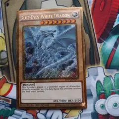 遊戯王 青眼の白龍 SDK-001 アジア版 1st - メルカリ