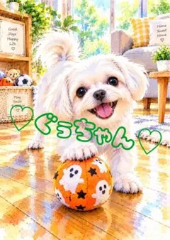《一点限り》マルチーズ ハロウィン ボール 犬