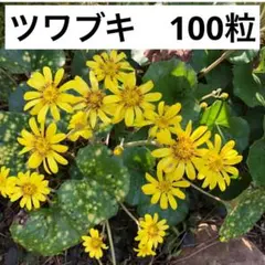 Ｋ様 リクエスト 3点 まとめ商品