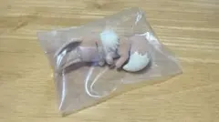 フィギュアコレクション ポケモンスリープ シアンの砂浜 イーブイ