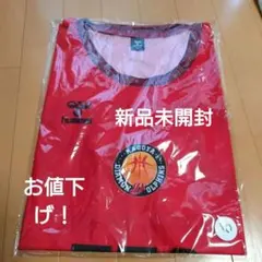 お値下げ！名古屋ダイヤモンドドルフィンズ FC限定ビブス 2026-27