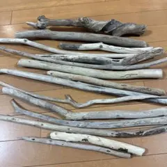 流木セット クリエイティブ素材