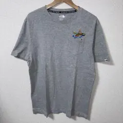 韓国限定 ノースフェイス カヤック刺繍 ポケット付きTシャツ グレー