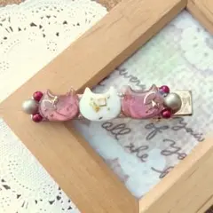 【H-157】レジンヘアクリップ