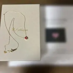 Enasolunaエナソルーナ スキニーマリアメダイネックレス【品質保証書 