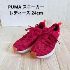 PUMA プーマ レディース スニーカー ピンク24cm SOFTFOAM 軽量