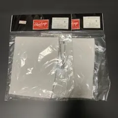 Item thumbnail for item 24d4bab4-d42e-4d47-88ed-d4644de346ae