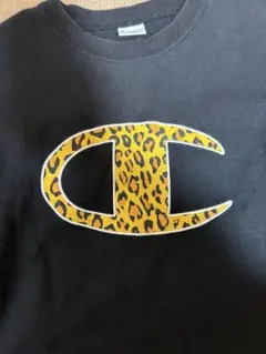 Champion REVERSE WEAVE/スウェット/L/C8-R003