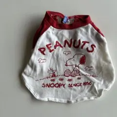 Item thumbnail for item 22591a2b-0c3d-423e-b8b1-ab5272c3032c