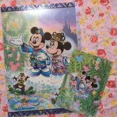 東京ディズニーランド スターフェスティバル クリアファイルセット