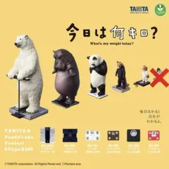 ガチャガチャ 今日はなんキロ？ ５種セット
