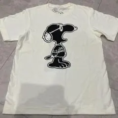 Item thumbnail for item 27e06866-2a7a-4352-a306-d7d162d4ae5f