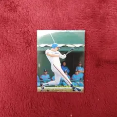 ハマスタ 甲子園様 リクエスト 5点 まとめ商品