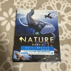 Item thumbnail for item 36ad41bc-c0e5-4b9f-9210-609ea2a15784