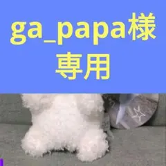 【 じょせまる　マスコット 『 じょせまる 』】