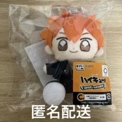 ハイキュー!! 一番くじ C賞 お座りマスコット　日向翔陽