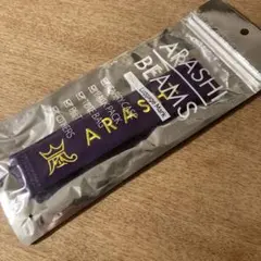 嵐を旅する展覧会 BEAMS ラゲッジマーク 紫