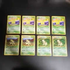 ポケモンカード 旧裏 チコリータ ベイリーフ 8枚セット - メルカリ