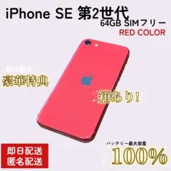 【整備済/即日配送】iPhoneSE2 64GB バッテリ100% SIMフリー