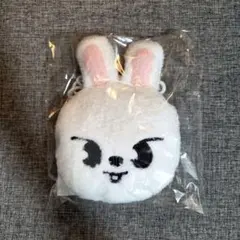 StrayKids スキズ Leebit リノ leeknow ポーチ StrayKids スキズ Leebit リノ leeknow ポーチ - メルカリ