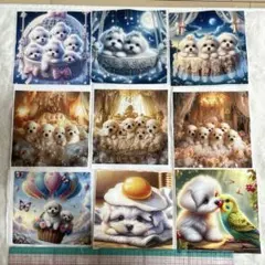2026年最新】マルチーズパネル生地の人気アイテム - メルカリ
